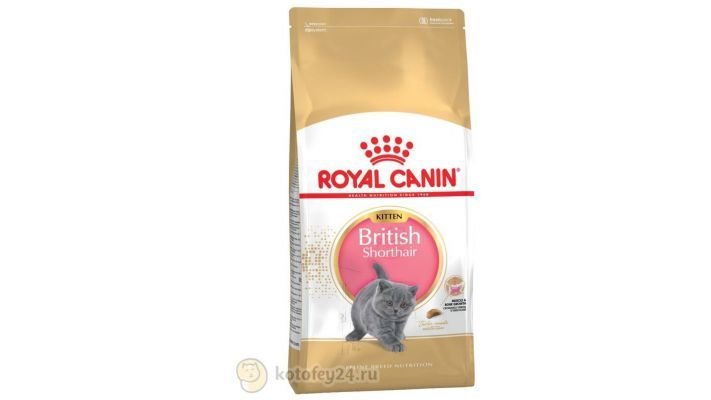Корм [Royal Canin British Shorthair Kitten, 400 гр.]