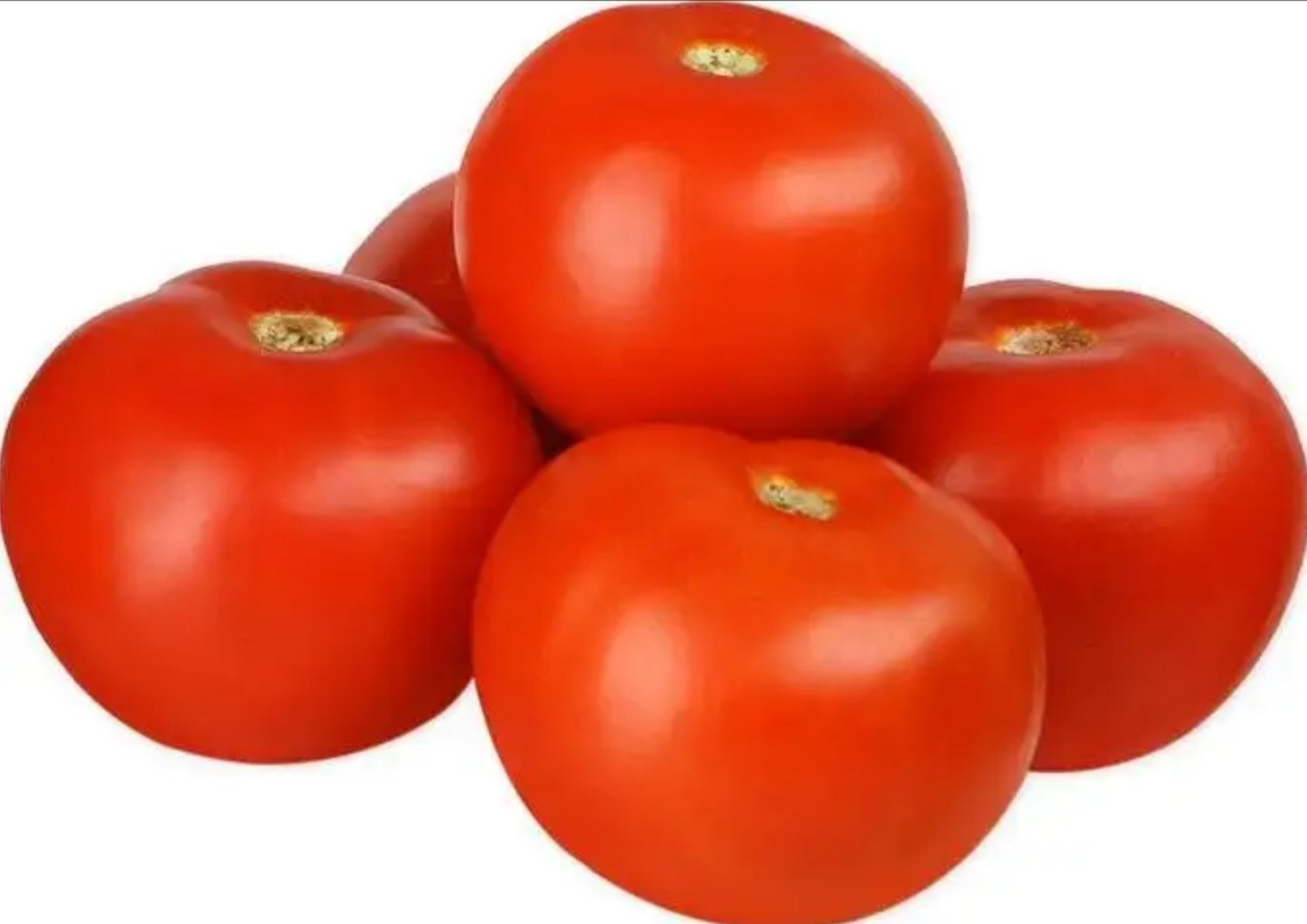 помидоры икрам фото