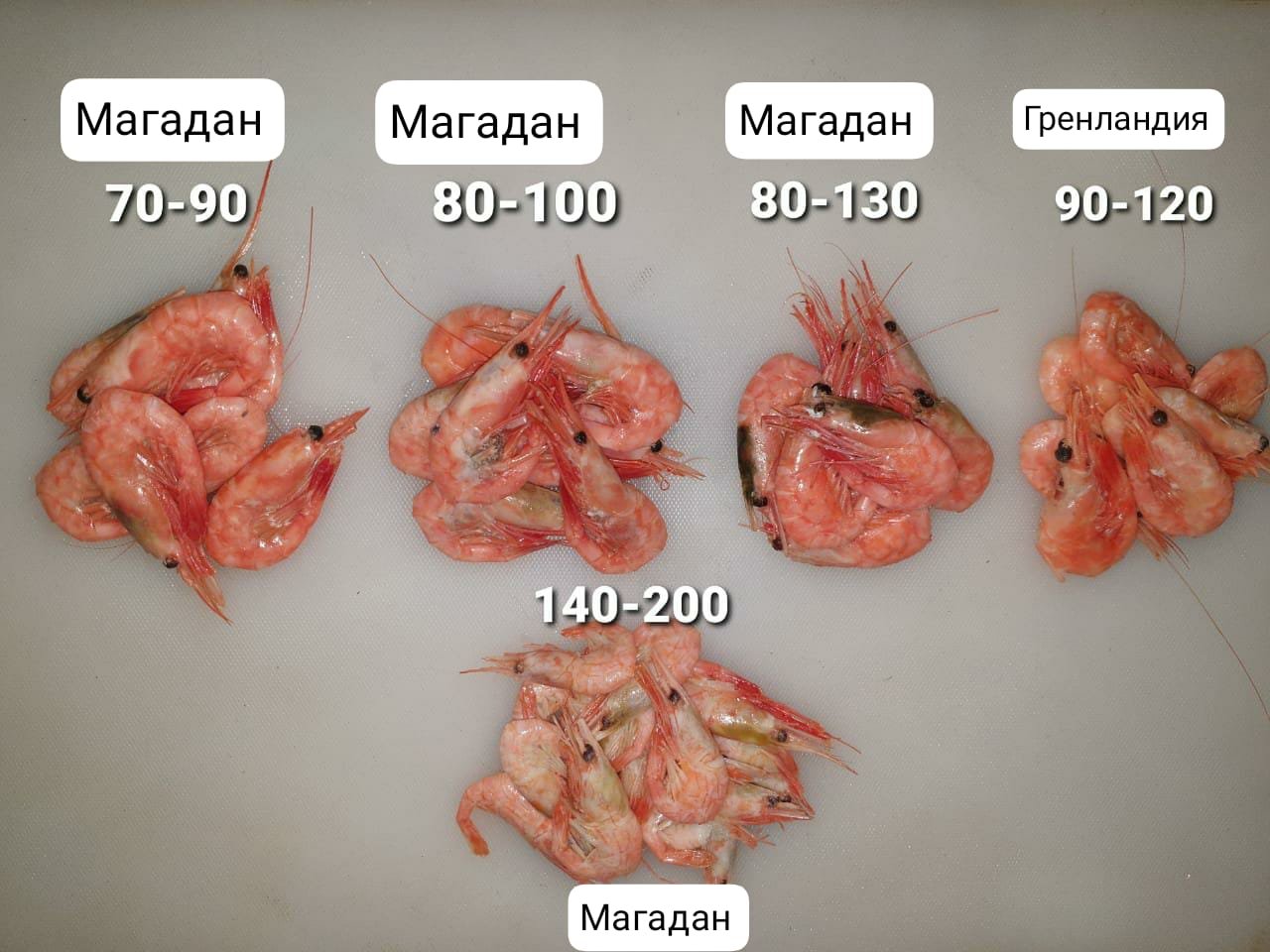 Креветка Магаданская Северная 80-100шт/1кг