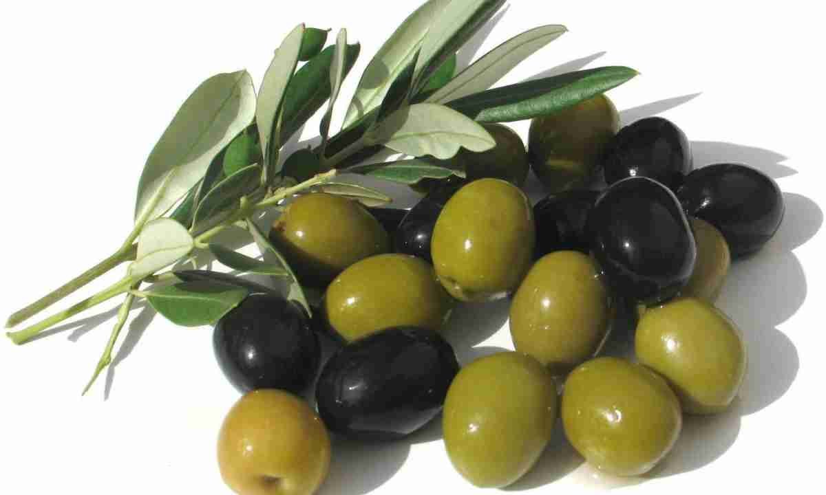 Оливки,маслины