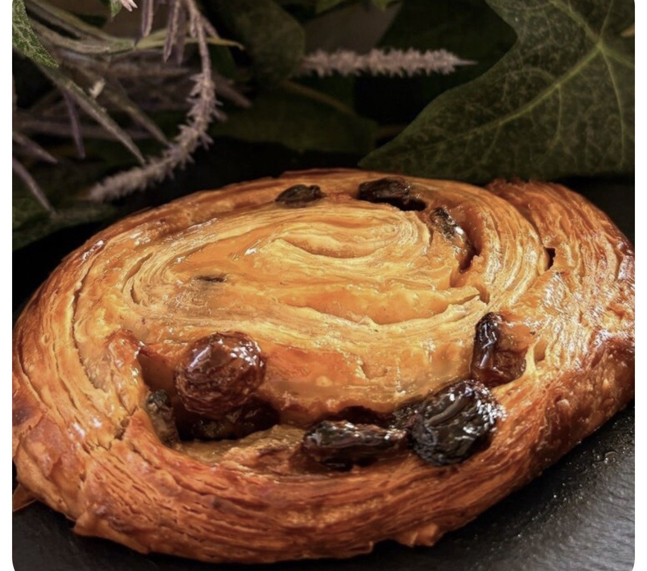 Улитка с изюмом