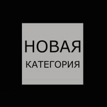 Новая категория2